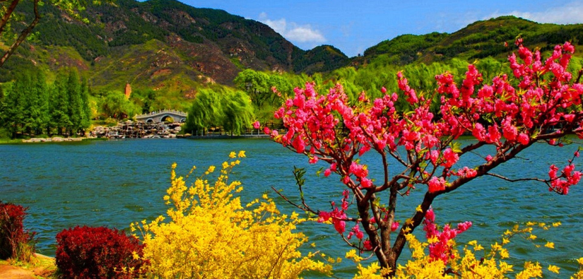 Jammu And Kashmir